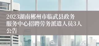 2023湖南郴州市临武县政务服务中心招聘劳务派遣人员3人公告