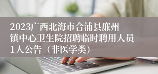 2023广西北海市合浦县廉州镇中心卫生院招聘临时聘用人员1人公告（非医学类）