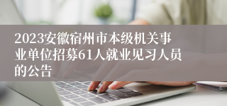 2023安徽宿州市本级机关事业单位招募61人就业见习人员的公告