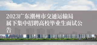 2023广东潮州市交通运输局属下集中招聘高校毕业生面试公告