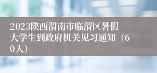 2023陕西渭南市临渭区暑假大学生到政府机关见习通知（60人）