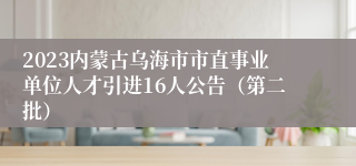 2023内蒙古乌海市市直事业单位人才引进16人公告（第二批）