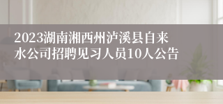 2023湖南湘西州泸溪县自来水公司招聘见习人员10人公告