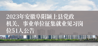 2023年安徽阜阳颍上县党政机关、事业单位征集就业见习岗位51人公告