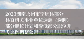 2023湖南永州市宁远县部分县直机关事业单位选调（选聘）部分职位计划和降低部分职位开考比例调整公告