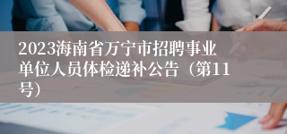 2023海南省万宁市招聘事业单位人员体检递补公告（第11号）