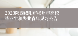 2023陕西咸阳市彬州市高校毕业生和失业青年见习公告