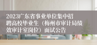 2023广东省事业单位集中招聘高校毕业生（梅州市审计局绩效审计室岗位）面试公告