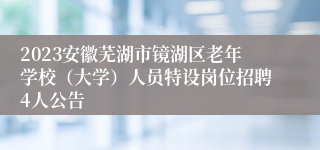 2023安徽芜湖市镜湖区老年学校（大学）人员特设岗位招聘4人公告