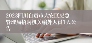 2023四川自贡市大安区应急管理局招聘机关编外人员1人公告