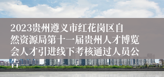 2023贵州遵义市红花岗区自然资源局第十一届贵州人才博览会人才引进线下考核通过人员公告