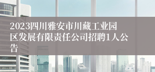 2023四川雅安市川藏工业园区发展有限责任公司招聘1人公告