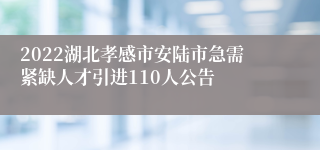 2022湖北孝感市安陆市急需紧缺人才引进110人公告