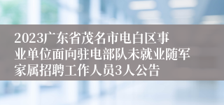 2023广东省茂名市电白区事业单位面向驻电部队未就业随军家属招聘工作人员3人公告