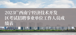 2023广西南宁经济技术开发区考试招聘事业单位工作人员成绩表