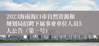 2023海南海口市自然资源和规划局招聘下属事业单位人员5人公告（第一号）