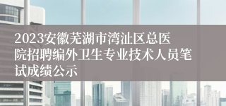 2023安徽芜湖市湾沚区总医院招聘编外卫生专业技术人员笔试成绩公示