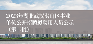 2023年湖北武汉洪山区事业单位公开招聘拟聘用人员公示 （第二批）