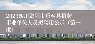 2023四川资阳市乐至县招聘事业单位人员拟聘用公示（第一批）