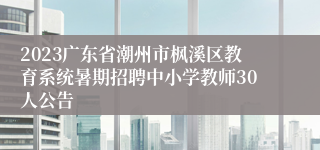 2023广东省潮州市枫溪区教育系统暑期招聘中小学教师30人公告