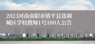 2023河南南阳市镇平县选调城区学校教师1号100人公告