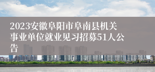 2023安徽阜阳市阜南县机关事业单位就业见习招募51人公告