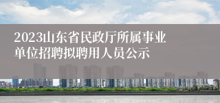 2023山东省民政厅所属事业单位招聘拟聘用人员公示