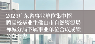 2023广东省事业单位集中招聘高校毕业生佛山市自然资源局禅城分局下属事业单位合成成绩公布公告