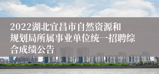 2022湖北宜昌市自然资源和规划局所属事业单位统一招聘综合成绩公告