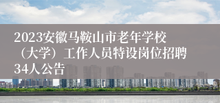 2023安徽马鞍山市老年学校（大学）工作人员特设岗位招聘34人公告