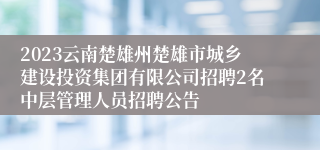 2023云南楚雄州楚雄市城乡建设投资集团有限公司招聘2名中层管理人员招聘公告