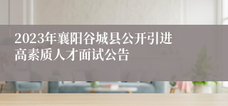 2023年襄阳谷城县公开引进高素质人才面试公告