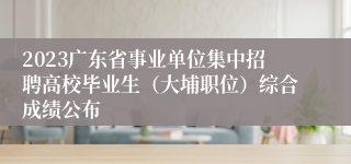 2023广东省事业单位集中招聘高校毕业生（大埔职位）综合成绩公布