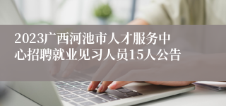 2023广西河池市人才服务中心招聘就业见习人员15人公告