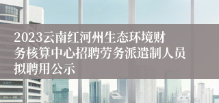 2023云南红河州生态环境财务核算中心招聘劳务派遣制人员拟聘用公示