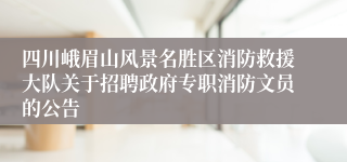 四川峨眉山风景名胜区消防救援大队关于招聘政府专职消防文员的公告