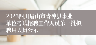 2023四川眉山市青神县事业单位考试招聘工作人员第一批拟聘用人员公示