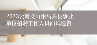 2023云南文山州马关县事业单位招聘工作人员面试通告