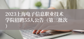 2023上海电子信息职业技术学院招聘55人公告（第三批次）