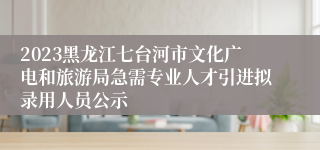 2023黑龙江七台河市文化广电和旅游局急需专业人才引进拟录用人员公示