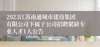 2023江苏南通城市建设集团有限公司下属子公司招聘紧缺专业人才1人公告