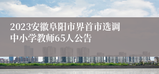 2023安徽阜阳市界首市选调中小学教师65人公告