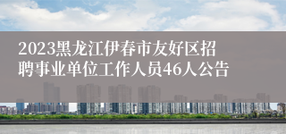 2023黑龙江伊春市友好区招聘事业单位工作人员46人公告