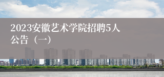 2023安徽艺术学院招聘5人公告（一）