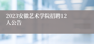 2023安徽艺术学院招聘12人公告