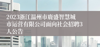 2023浙江温州市鹿盛智慧城市运营有限公司面向社会招聘3人公告