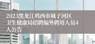 2023黑龙江鸡西市城子河区卫生健康局招聘编外聘用人员4人公告