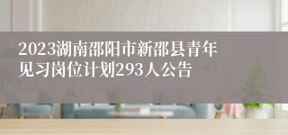 2023湖南邵阳市新邵县青年见习岗位计划293人公告