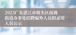 2023广东湛江市坡头区南调街道办事处招聘编外人员拟录用人员公示