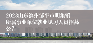 2023山东滨州邹平市明集镇所属事业单位就业见习人员招募公告